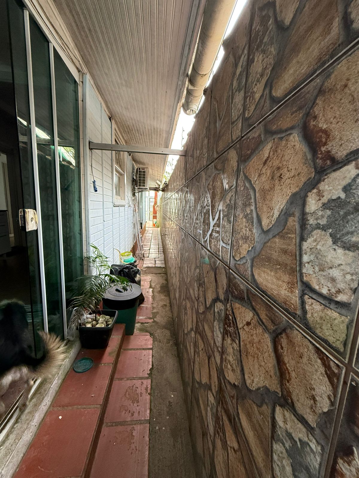 Casa 15